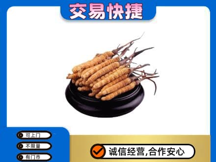 凌海市礼品回收散虫草.jpg